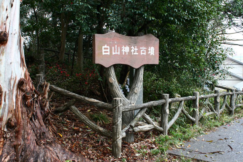 白山神社古墳 浜松市の古墳31_d0079764_22261748.jpg