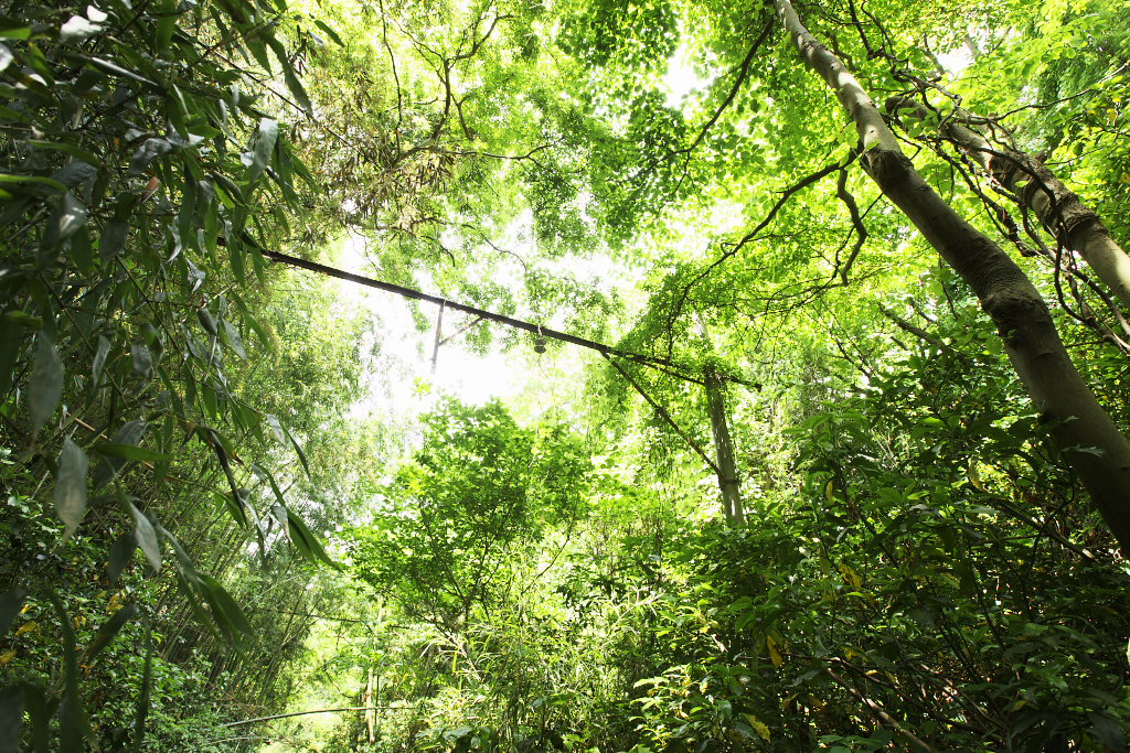f0171065_2115630.jpg