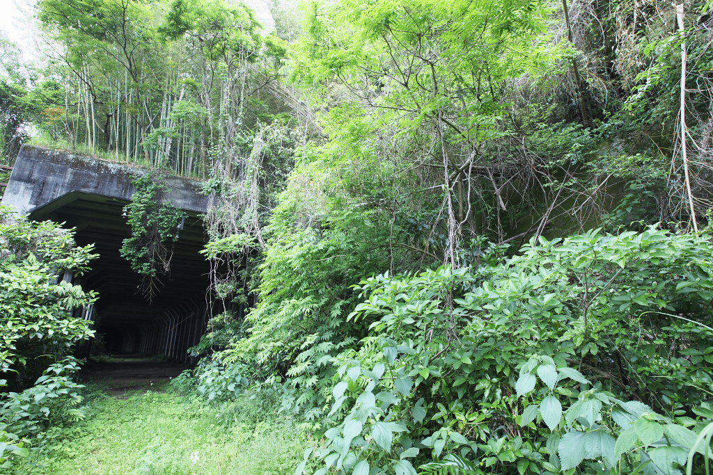 f0171065_21553287.jpg