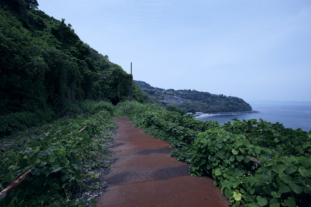 f0171065_2182940.jpg