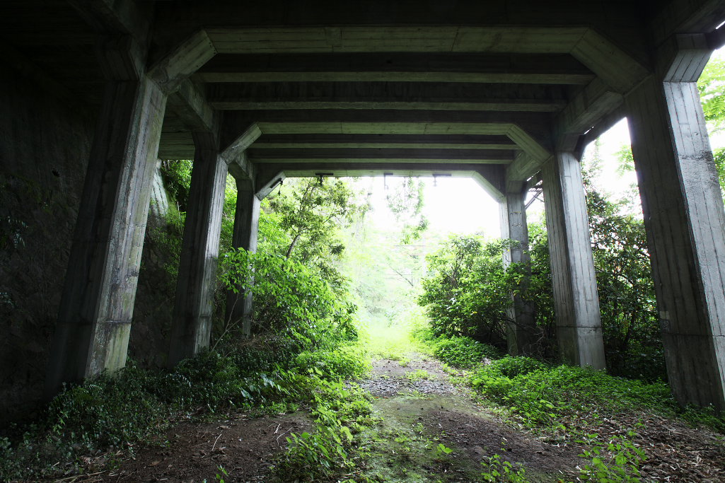 f0171065_22442649.jpg