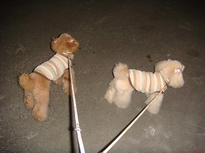 2010.5.22 整体治療、新しい道_a0083571_0123010.jpg