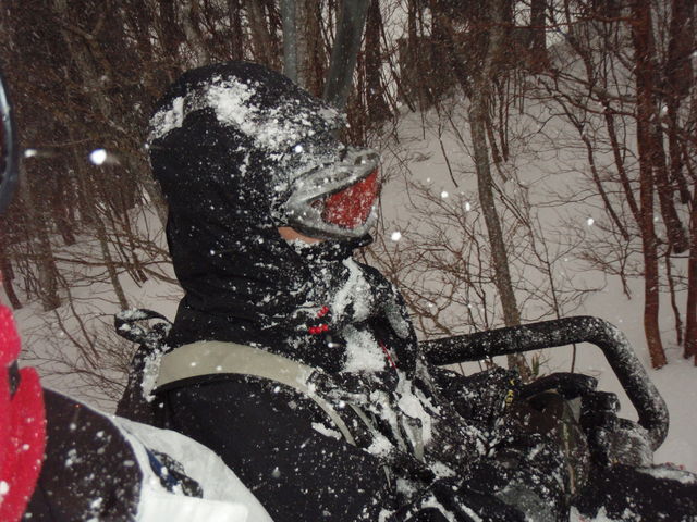 a0125171_2246058.jpg