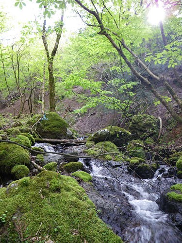 高島トレイル　駒ヶ岳_c0002874_1082653.jpg