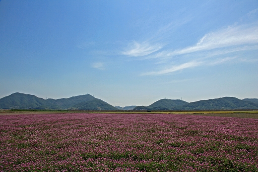 なんちゃって北海道_e0190885_132627.jpg