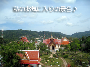これってどうなの?_f0144385_16351471.jpg