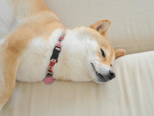 静寂の中で_a0126590_9153742.jpg