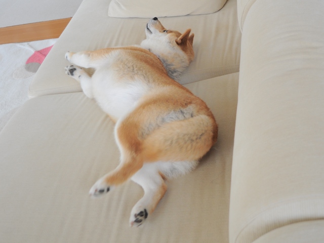 静寂の中で_a0126590_9163477.jpg