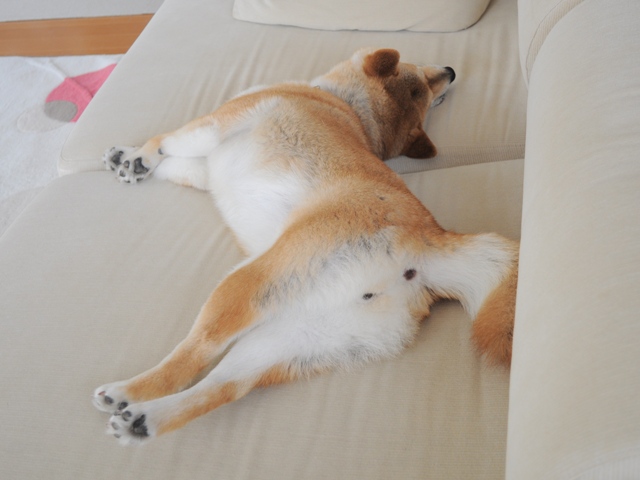 静寂の中で_a0126590_9164616.jpg