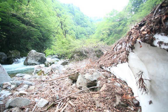 今年も立山の方へ_f0166390_20582993.jpg