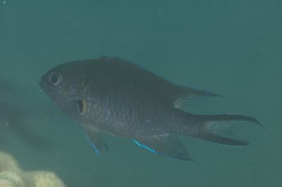 f0090791_17423022.jpg