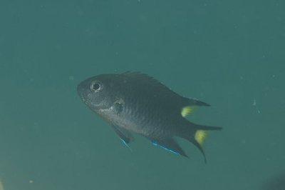 f0090791_17425949.jpg