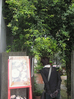 c0078592_029189.gif