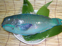 沖縄の魚図鑑 その１ 沖縄と東京の心の架け橋 田んぼのお芋屋さん