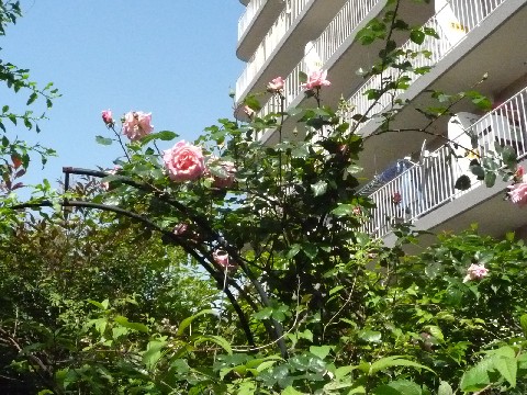 c0108693_22134081.jpg