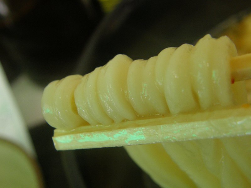 c0118393_959829.jpg