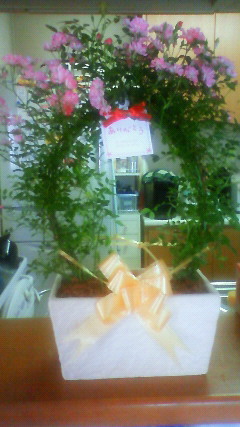 a0081095_11165525.jpg