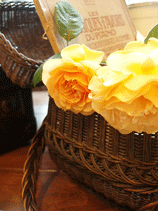 c0129702_2371279.gif