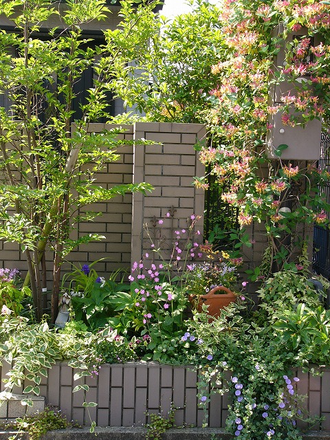 a0123003_22154876.jpg