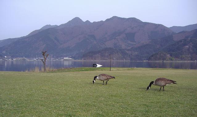 b0147203_1822413.jpg