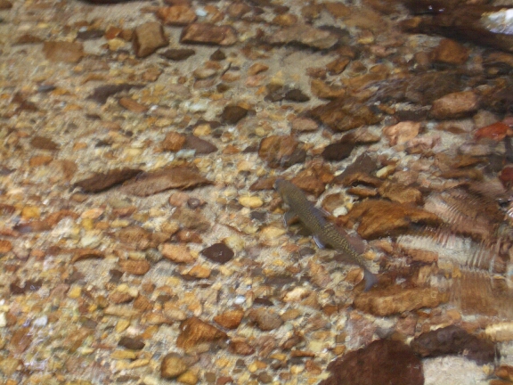 b0172805_0121151.jpg