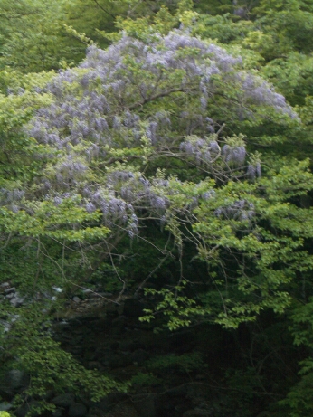 b0172805_0231275.jpg