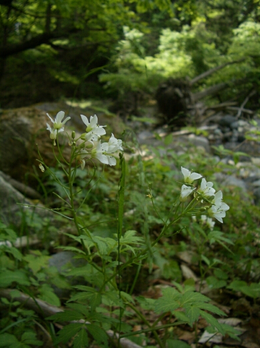 b0172805_091947.jpg