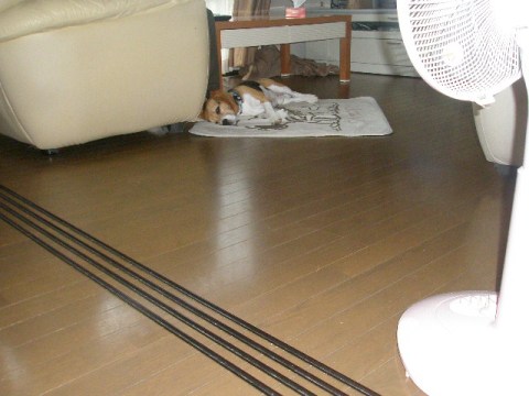 c0205806_17551253.jpg