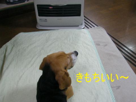 c0205806_17583852.jpg