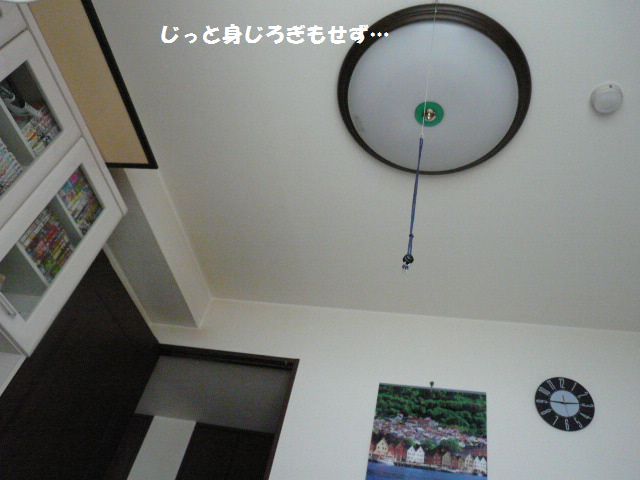 e0094407_2320224.jpg