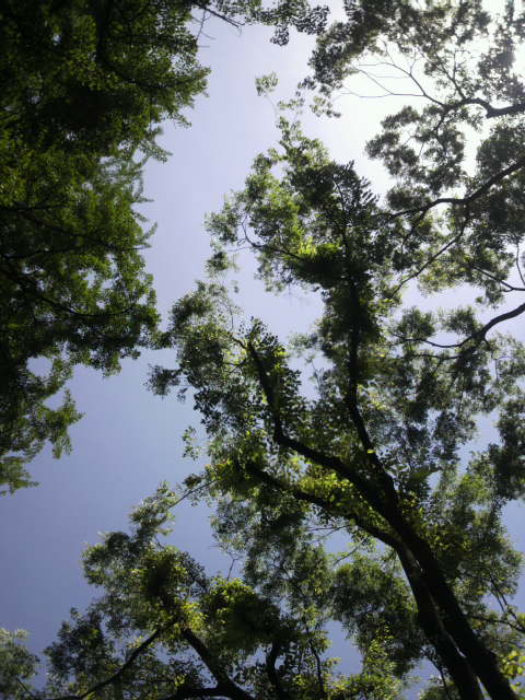 f0024708_255510.jpg