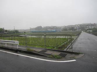 「これから」づくしの月曜日!_d0091909_15552199.jpg