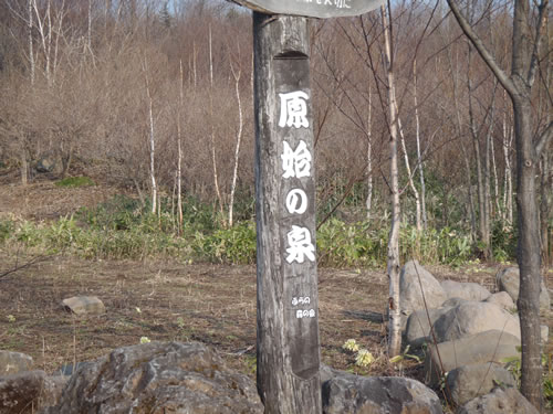 b0021211_840121.jpg