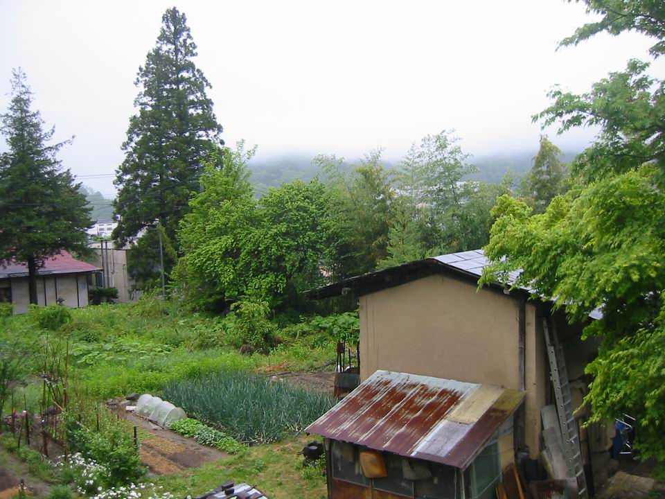 a0109912_824274.jpg