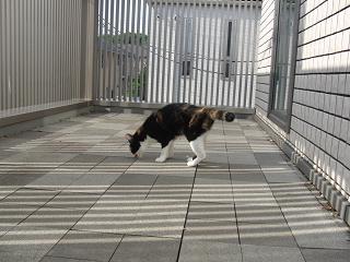 c0201113_13304435.jpg