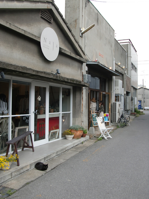 本日は、_f0150413_2104515.jpg