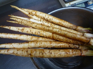 c0203514_23274533.jpg