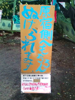 宮下公園をナイキ公園化から守れ!_e0094315_13284551.jpg
