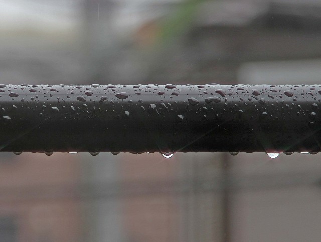 c0216518_2145736.jpg