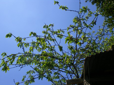 c0124619_17563050.jpg