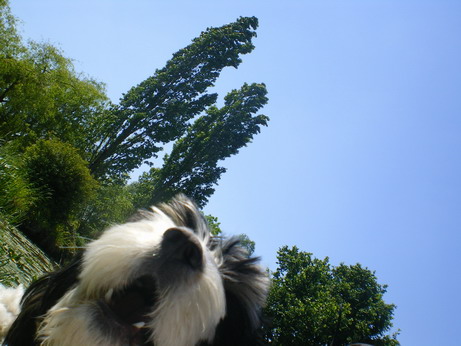 c0124619_17574829.jpg