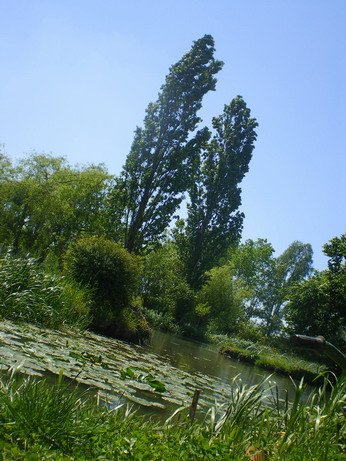 c0124619_17584344.jpg