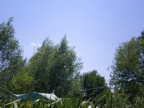 c0124619_17592264.jpg
