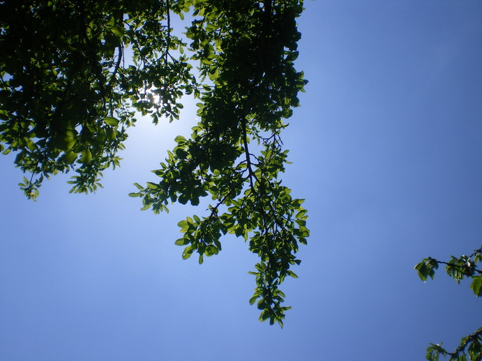 c0124619_1844363.jpg