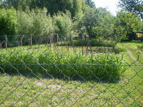 c0124619_2250470.jpg