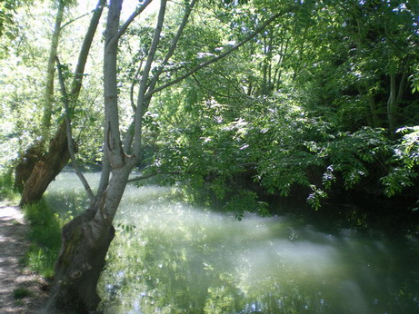 c0124619_22515959.jpg