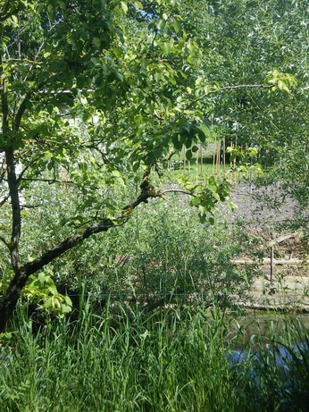 c0124619_2253897.jpg