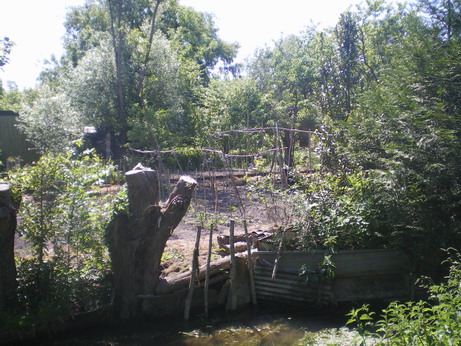 c0124619_22562548.jpg