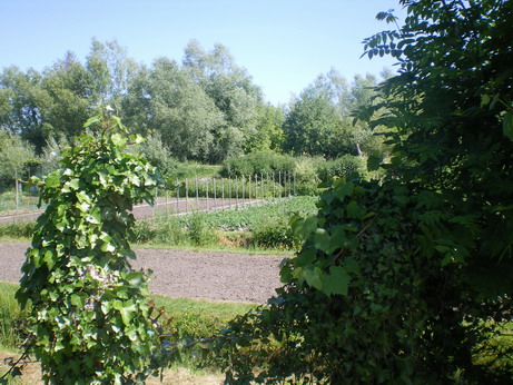 c0124619_22565317.jpg