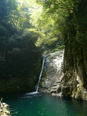 b0019820_1654020.jpg